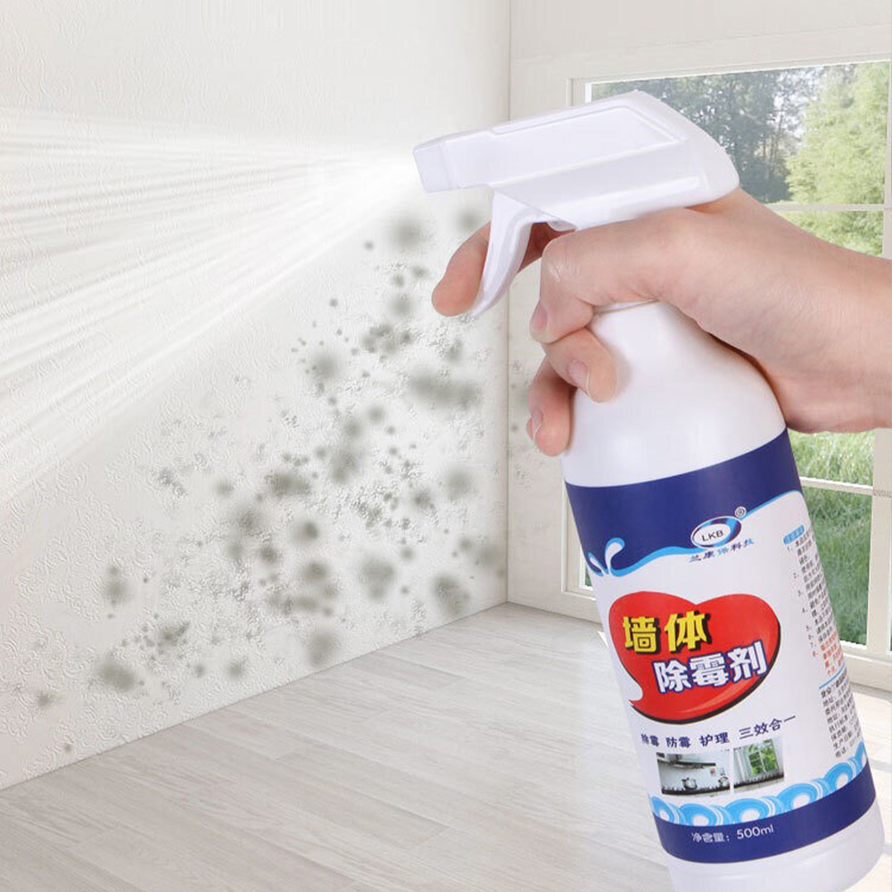 Wall Mildew Remover Luxury Brand CO